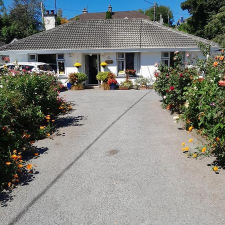 Saint Martin'S Bed And Breakfast Bandon Bagian luar foto