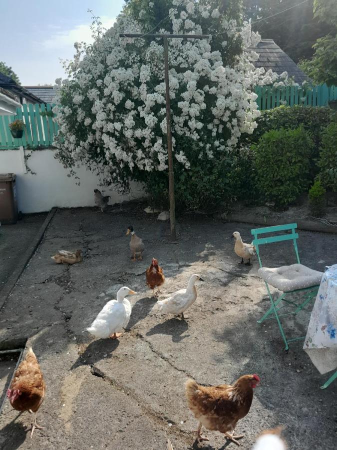 Saint Martin'S Bed And Breakfast Bandon Bagian luar foto
