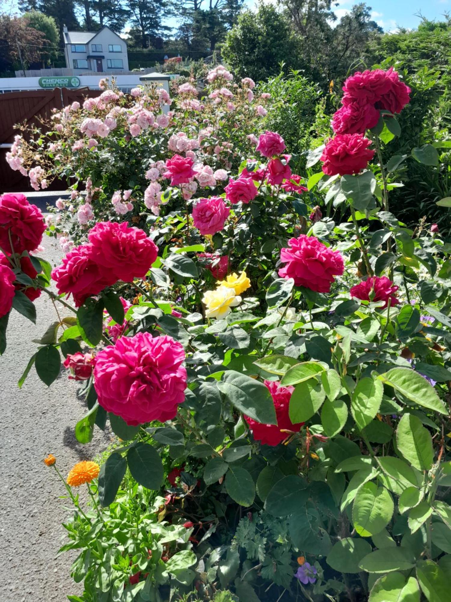 Saint Martin'S Bed And Breakfast Bandon Bagian luar foto