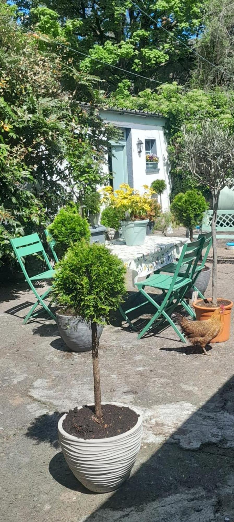 Saint Martin'S Bed And Breakfast Bandon Bagian luar foto